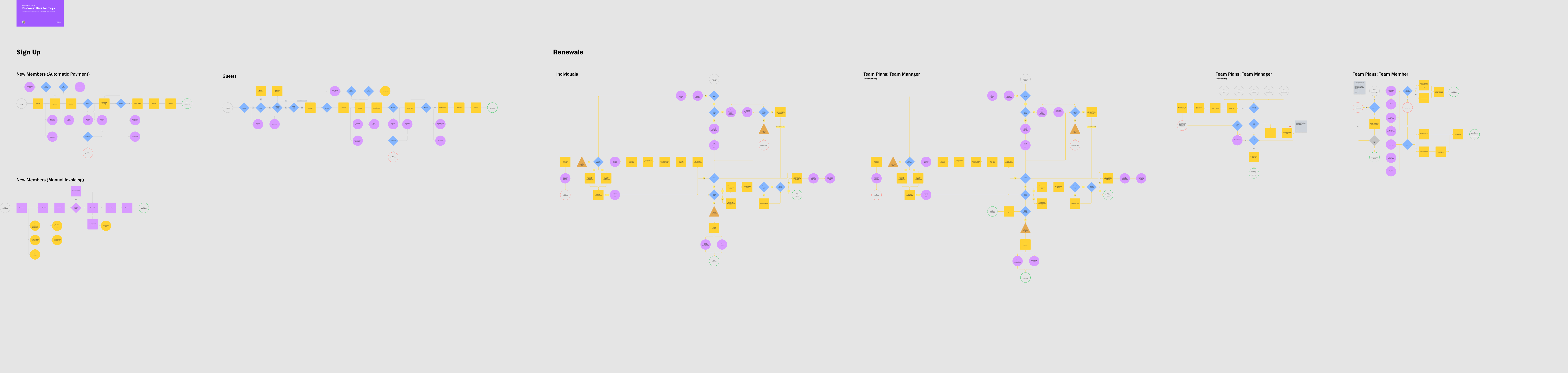 Original revenue journey board mapping signup, individual renewal, team-manager billing and team-member access